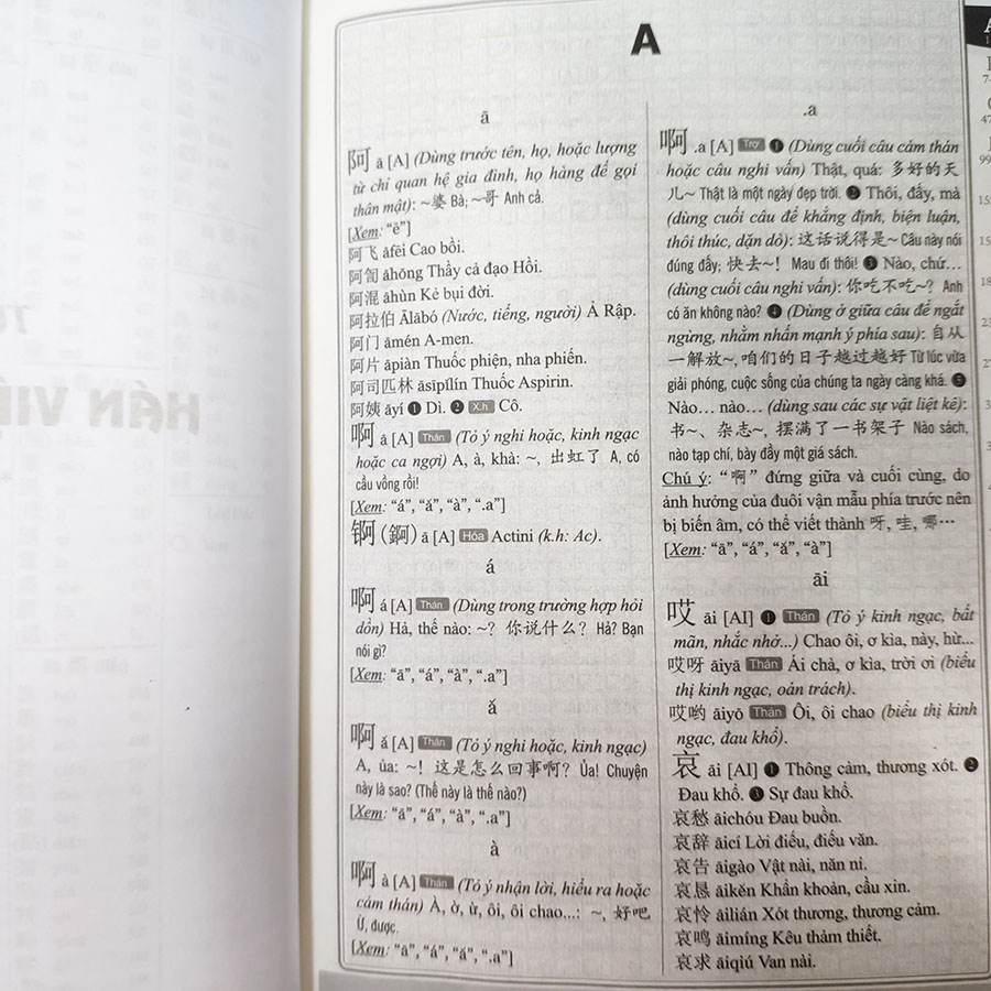 Sách - Từ điển Hán - Việt & Việt - Hán 2 trong 1 (bìa cứng)