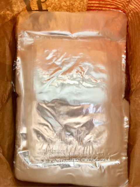 TÚI NILON BAO TRÁI ỔI 1kg