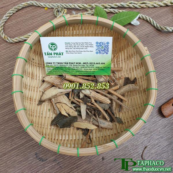 Cây kiến cò sấy khô túi lớn loại 500g  - Hàng công ty chất lượng cao - Thảo Dược Tấn Phát