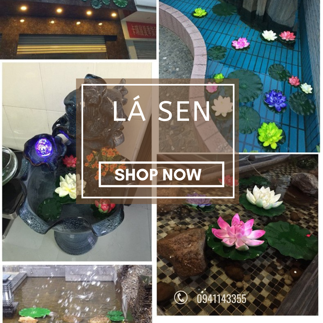 HCM Lá sen thả nước trang trí hồ cá tiểu cảnh