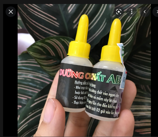 Dưỡng chất ab - Dưỡng mầm lan lọ 10ml