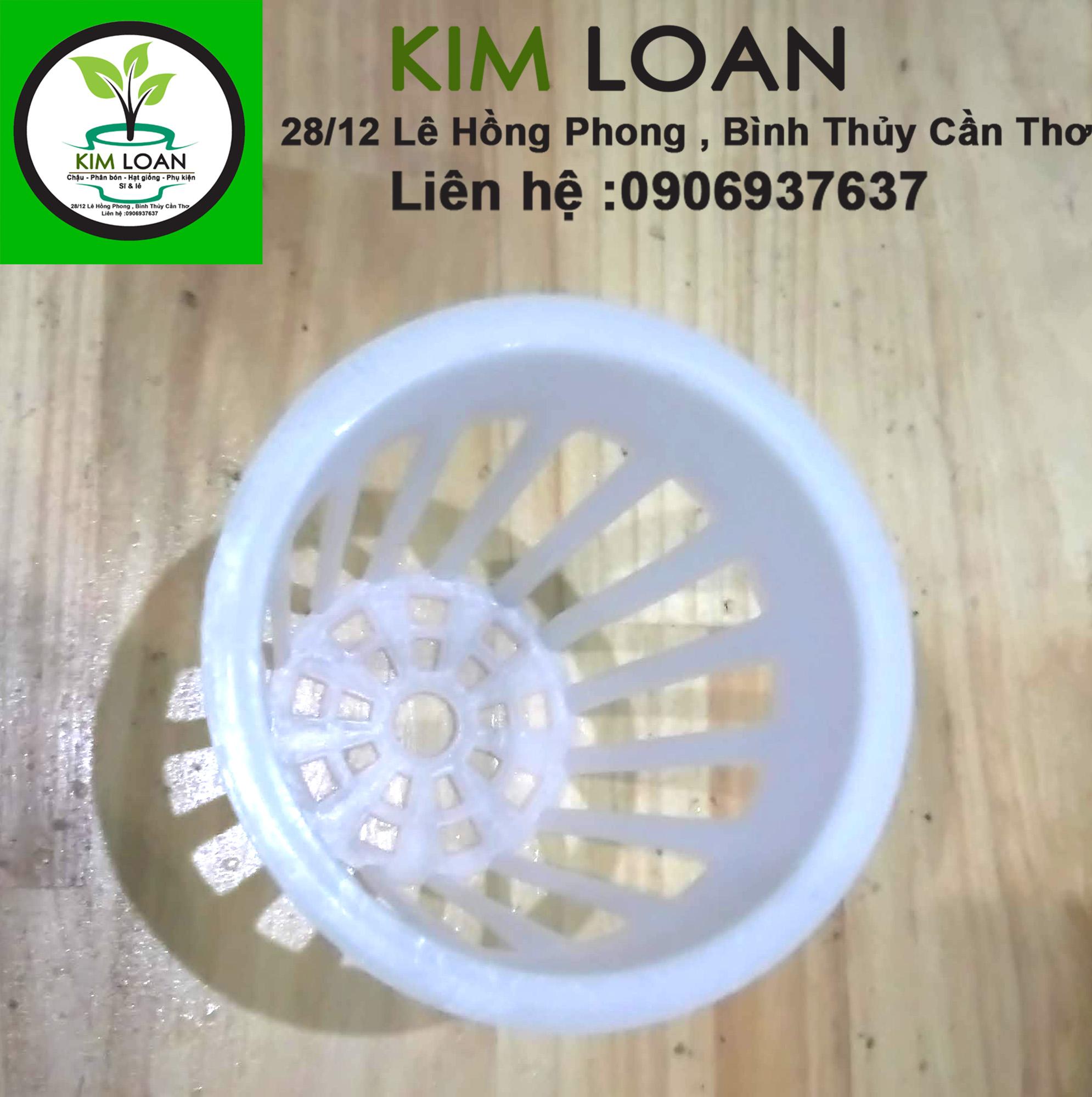 Combo 50 rọ thủy canh 6,5 x 6,5 cm