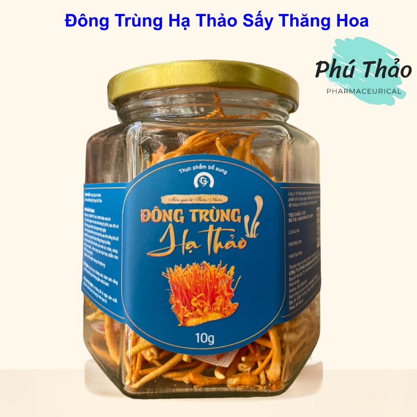 Đông trùng hạ thảo sấy thăng hoa khô chính hãng PHÚ THẢO PHARMACEUTICAL
