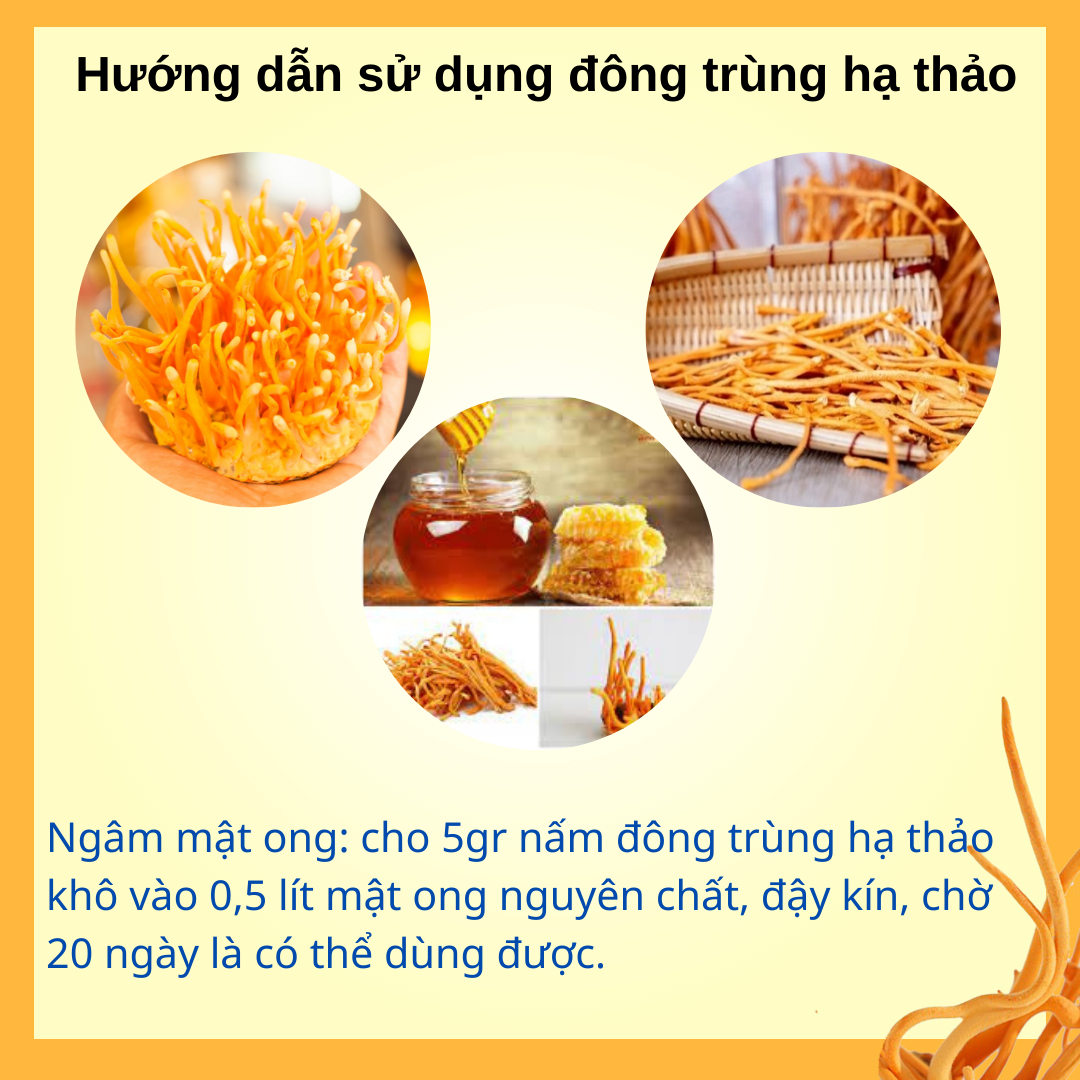 Đông trùng hạ thảo sấy thăng hoa dạng sợi [túi zip]