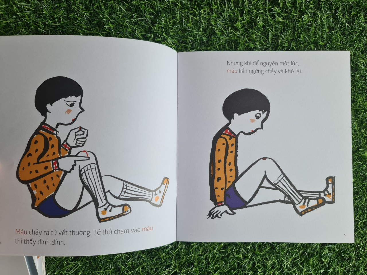 Combo Sách Ehon khoa học cơ thể (9 cuốn)