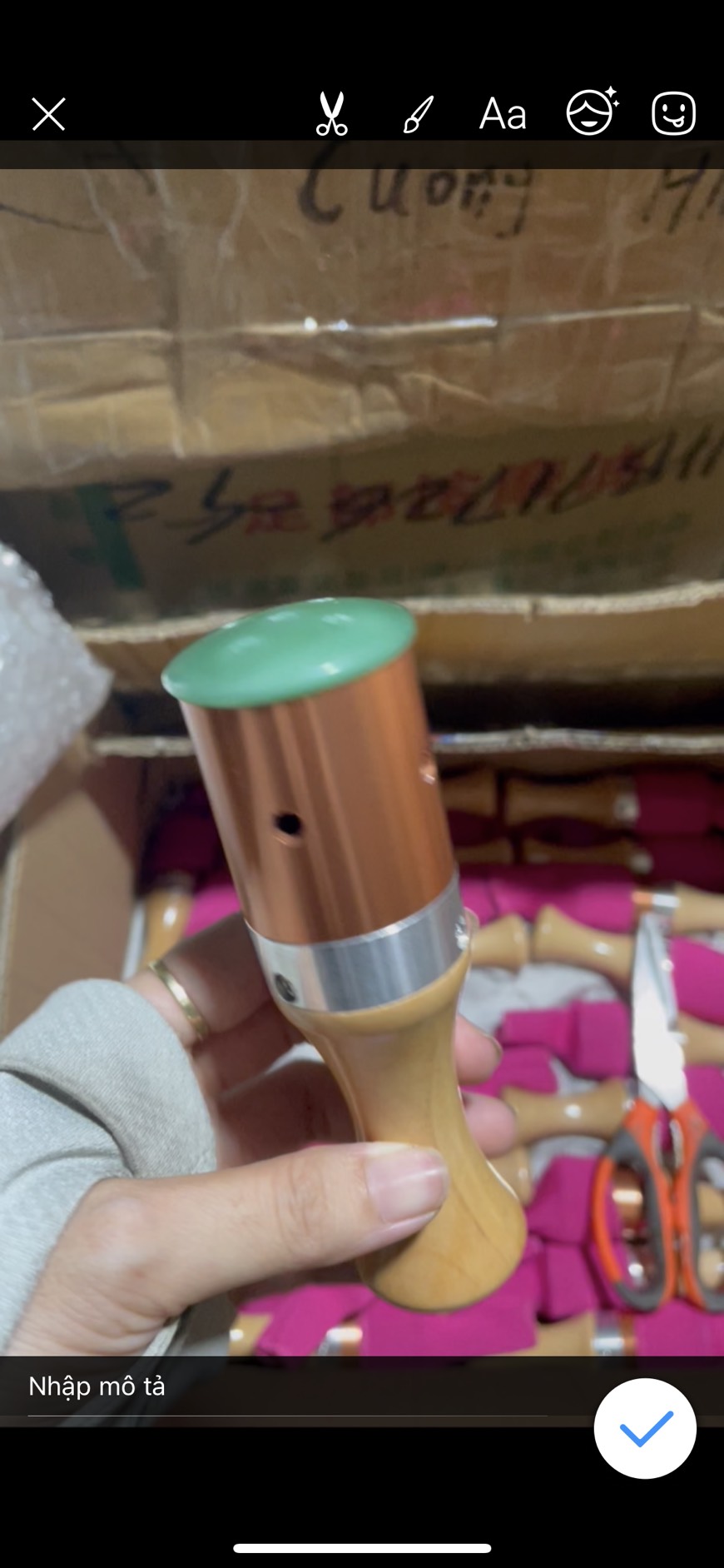 Cây Lăn Ngải Ngọc Bích masage