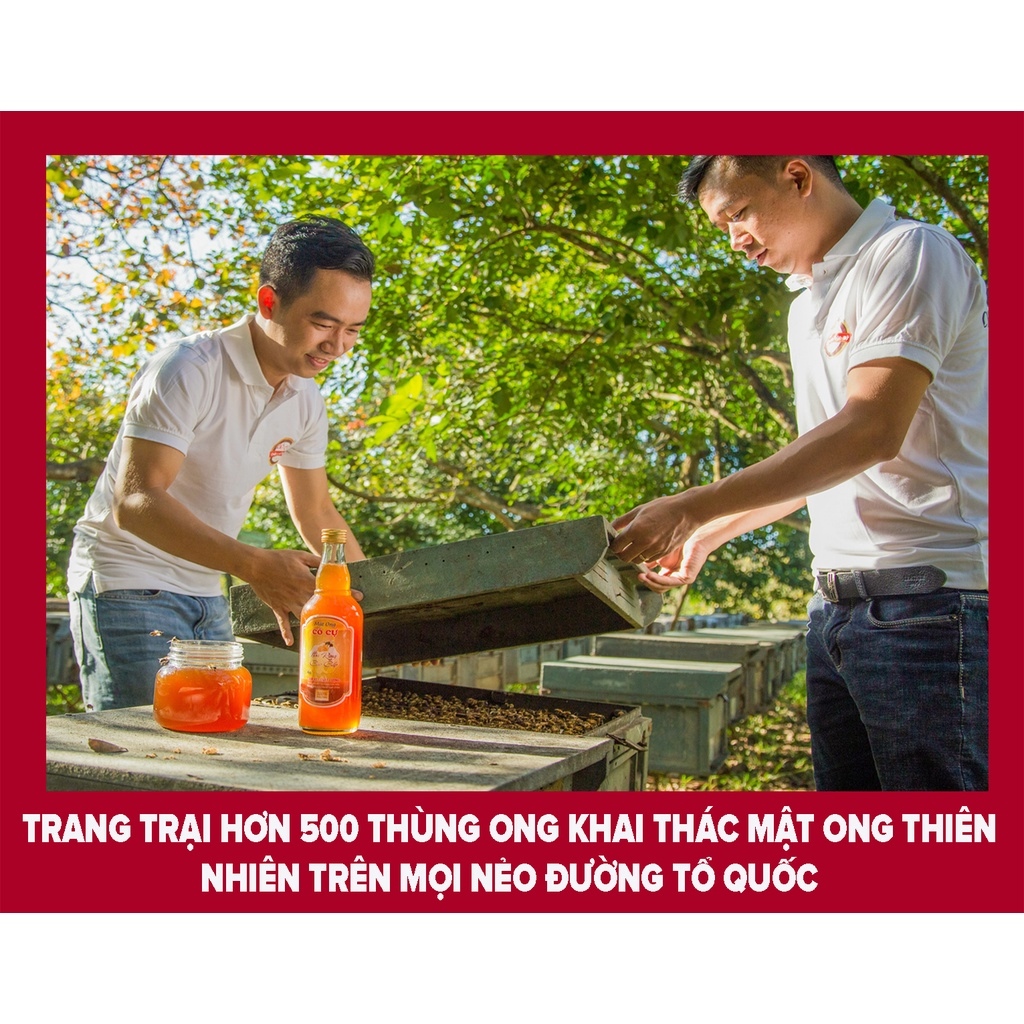 Mật ong nguyên chất 1 lít Đặc sản Cô Cự