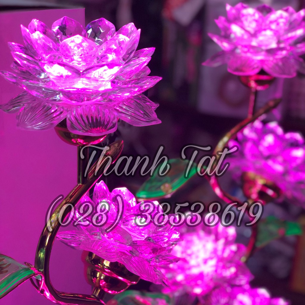 Đèn thờ led hoa sen 5 bông 75cm