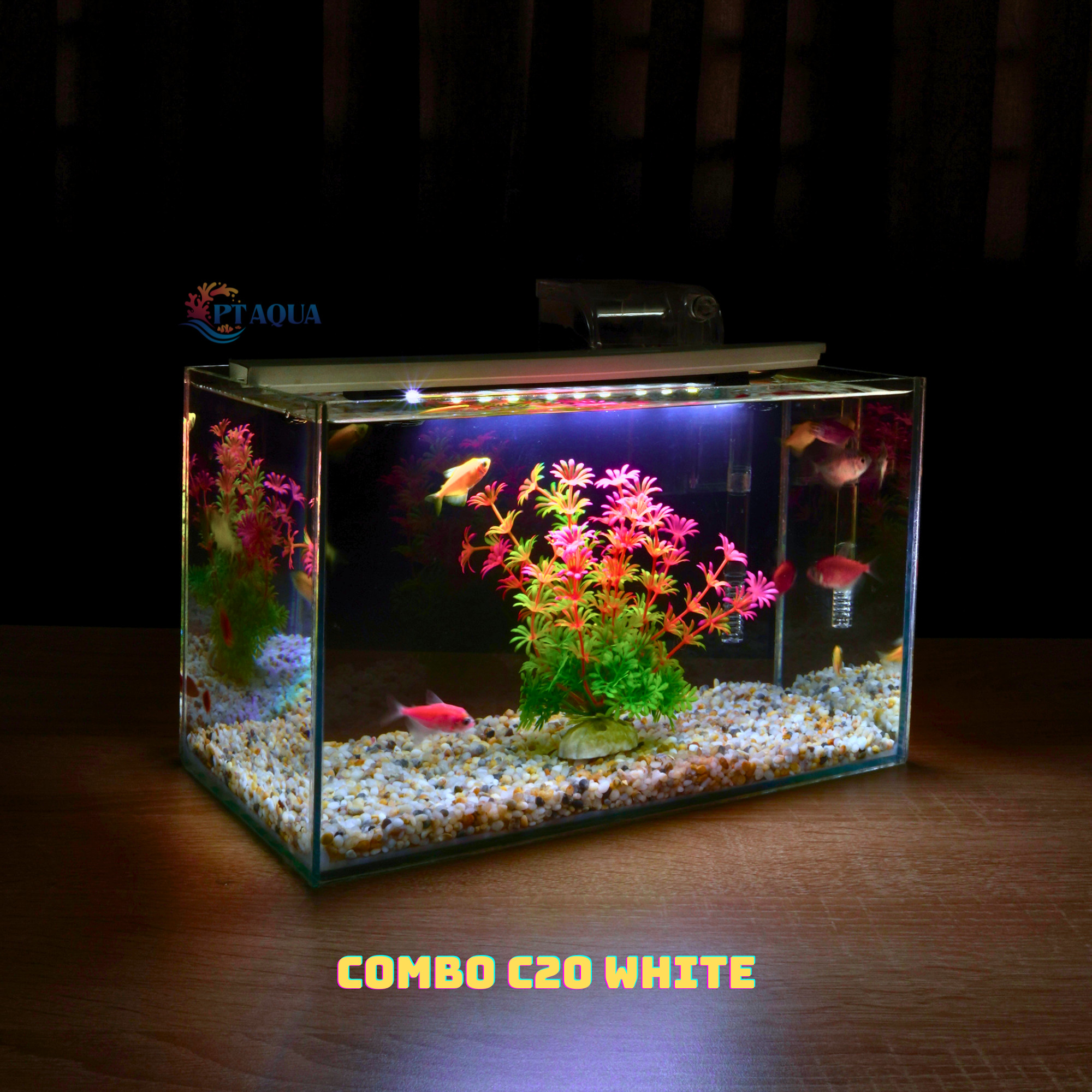 Bể cá mini FULL COMBO để bàn đầy đủ phụ kiện