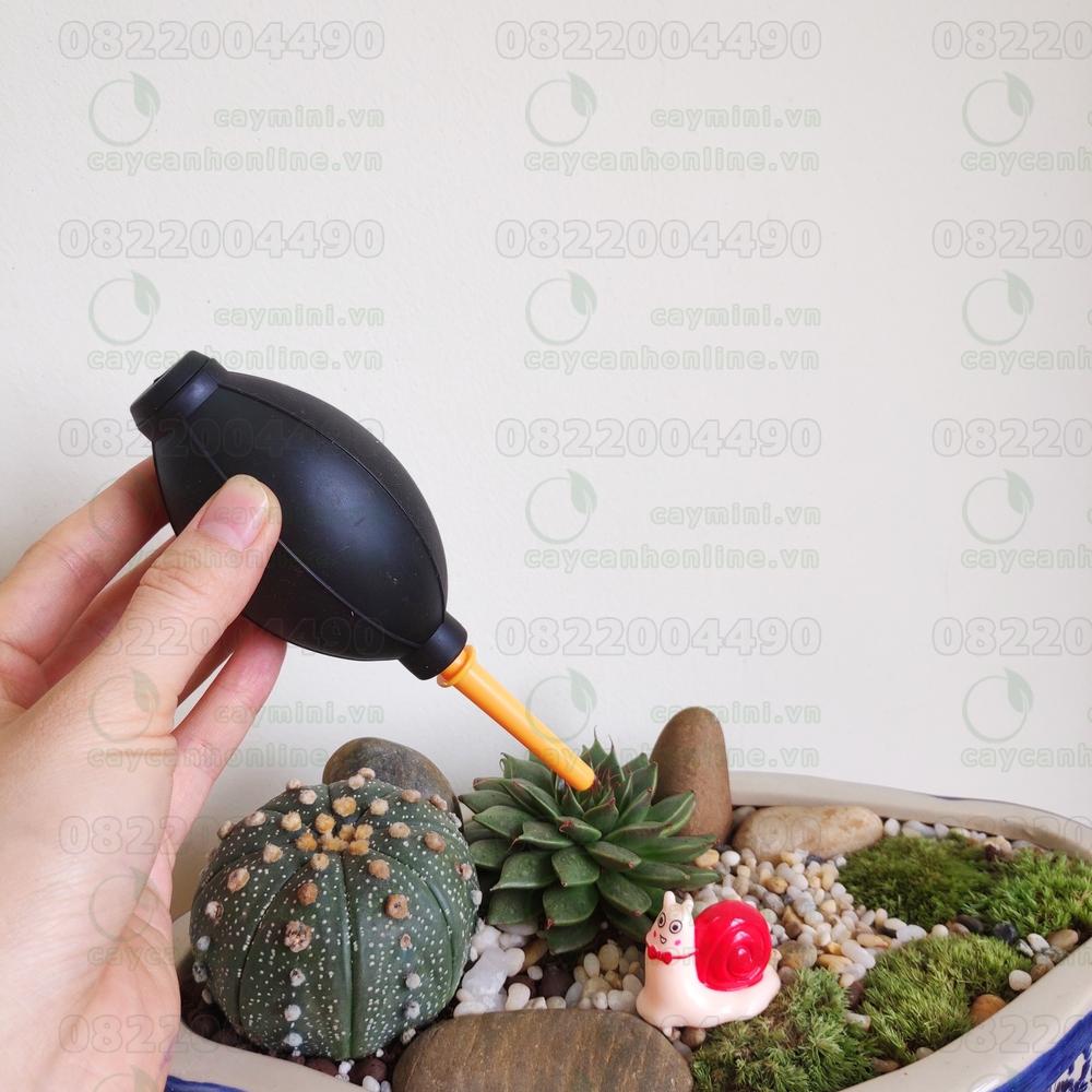 Bóng cao su xịt bụi
