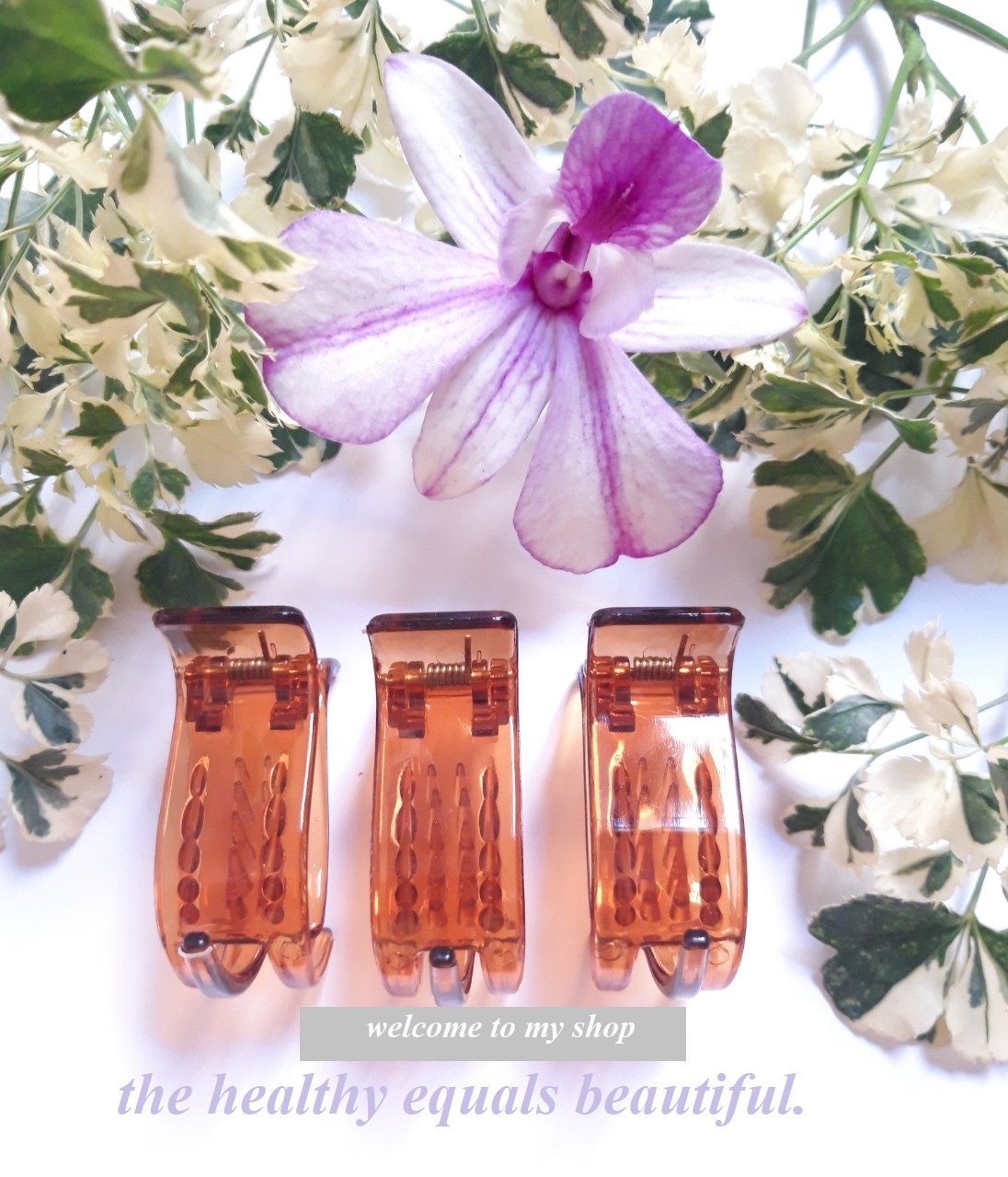 ComBO 5 cái kẹp càng cua 3 răng ( loại nhựa tốt)