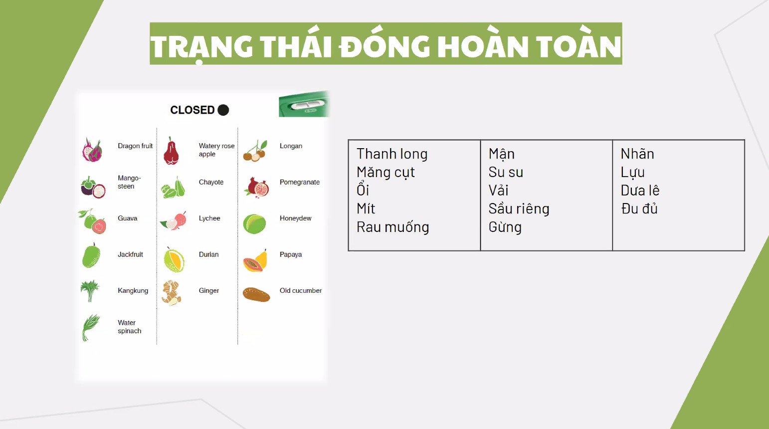 Hộp trữ mát có nút hô hấp Tupperware Ventsmart 1.8L thấp