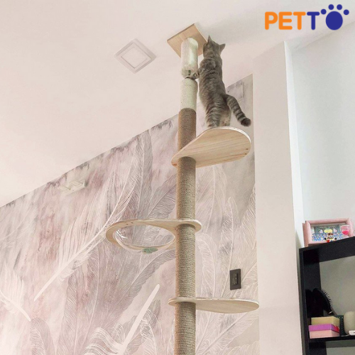 Tháp Mèo Leo Trèo Nhiều Tầng Độc Đáo