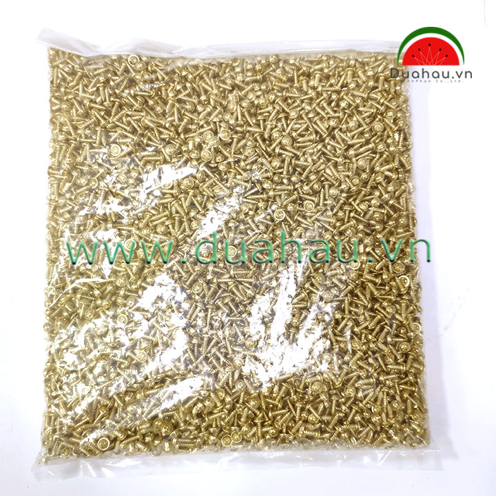 [HCM][1 ký] vít dù 3x10 Mm Đầu + loại 1 Nhập Khẩu