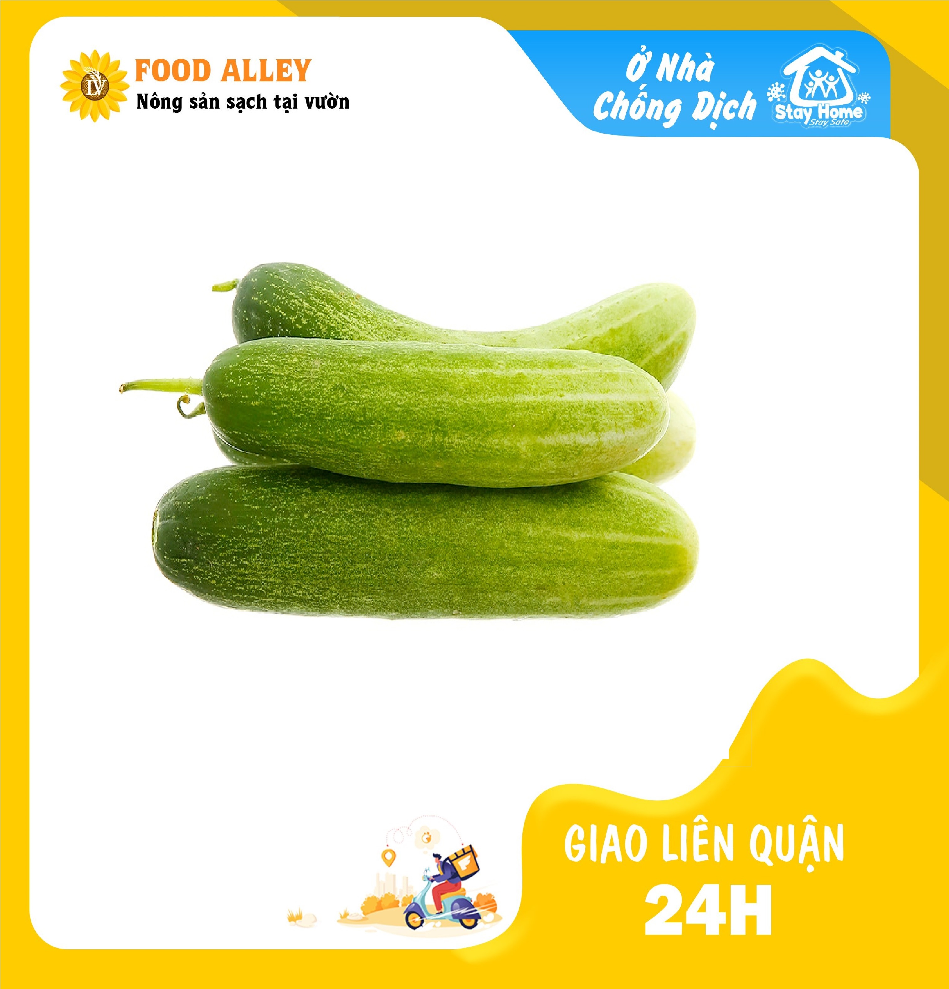 [CHỈ GIAO HCM] DƯA LEO ĐÀ LẠT