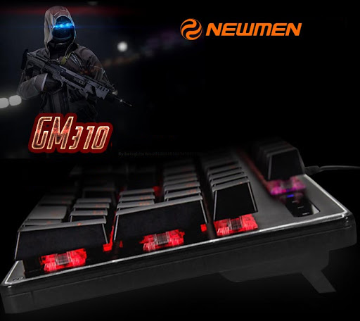 Bàn Phím Newmen GM310