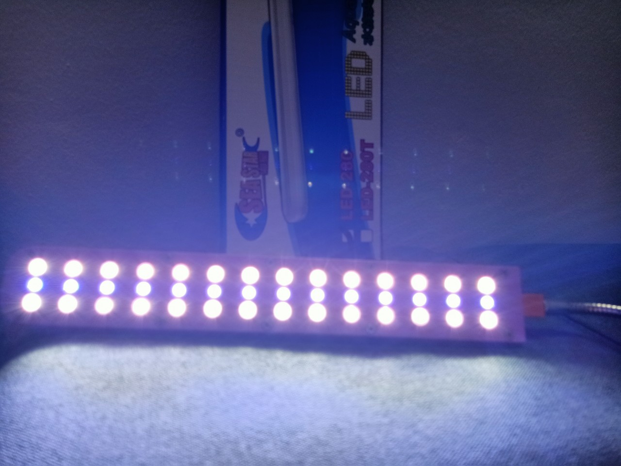 Đèn LED kẹp  siêu bền, siêu rẻ bể cá cảnh