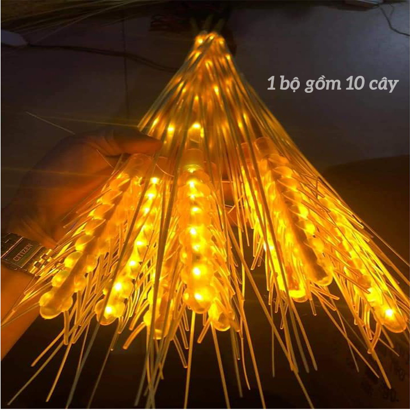 COMBO 10 CÂY BÔNG LÚA ĐÈN LED - THẦN TÀI - MAY MẮN
