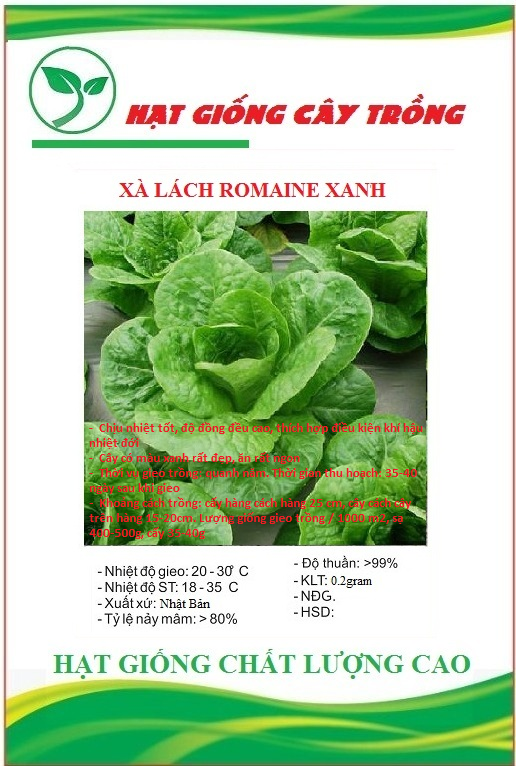 Hạt giống xà lách romaine xanh ct98 - gói 0.2gram