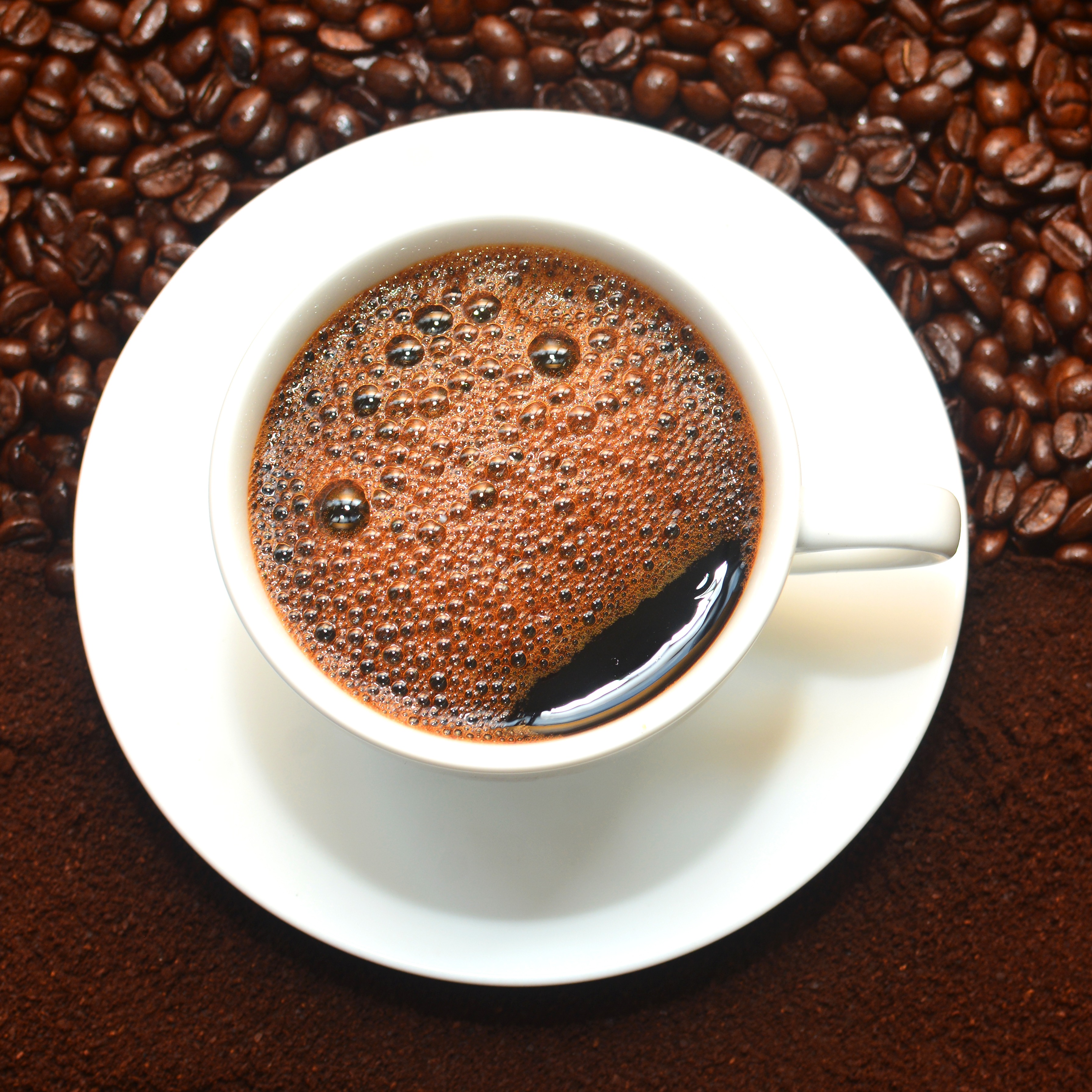 [HCM]CÀ PHÊ PHA PHIN ARABICA CẦU ĐẤT - HỘP 250G - Zara Bean Coffee