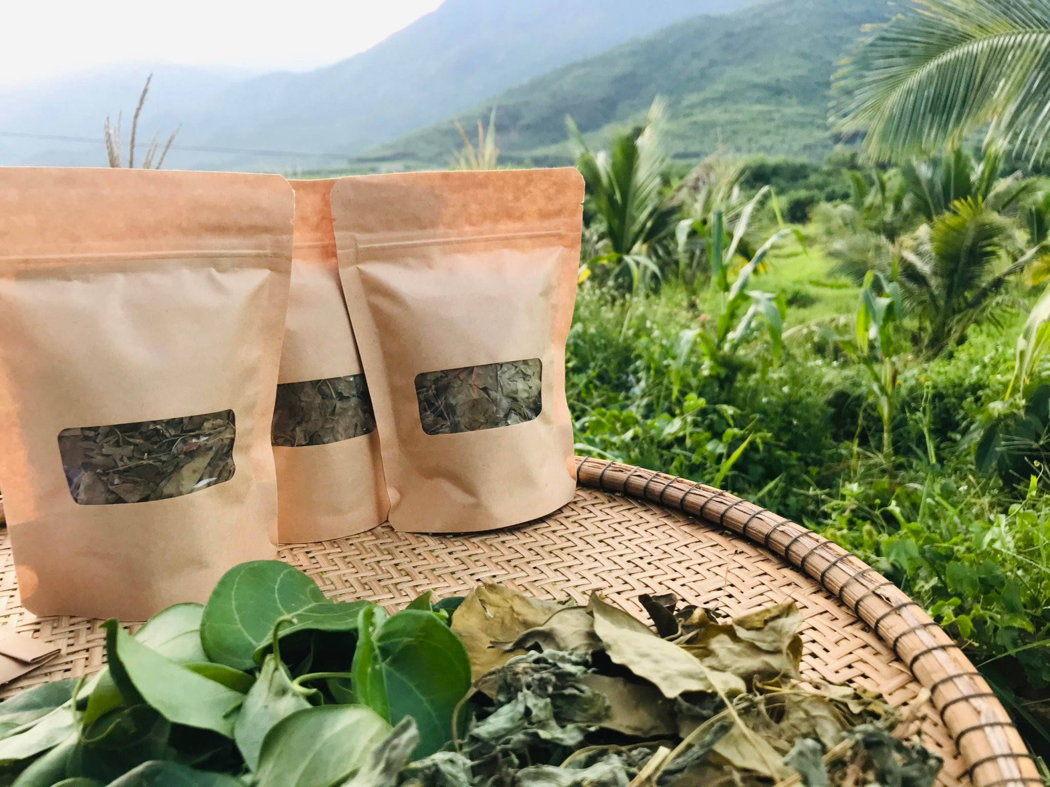 LÁ GIANG SẤY LẠNH MOSHAV FARM - COMBO 5 GÓI