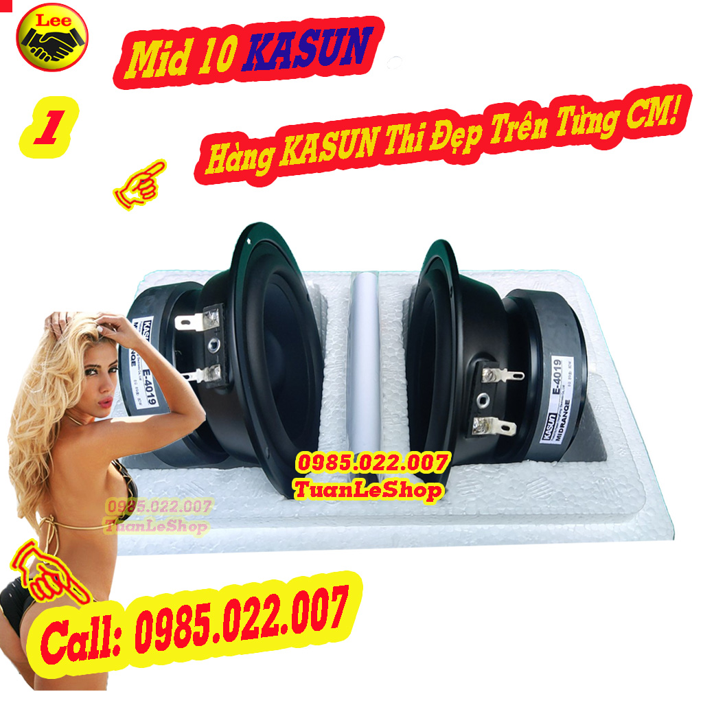 Loa trung 10 kasun nhập khẩu e4019 - giá 1 cặp