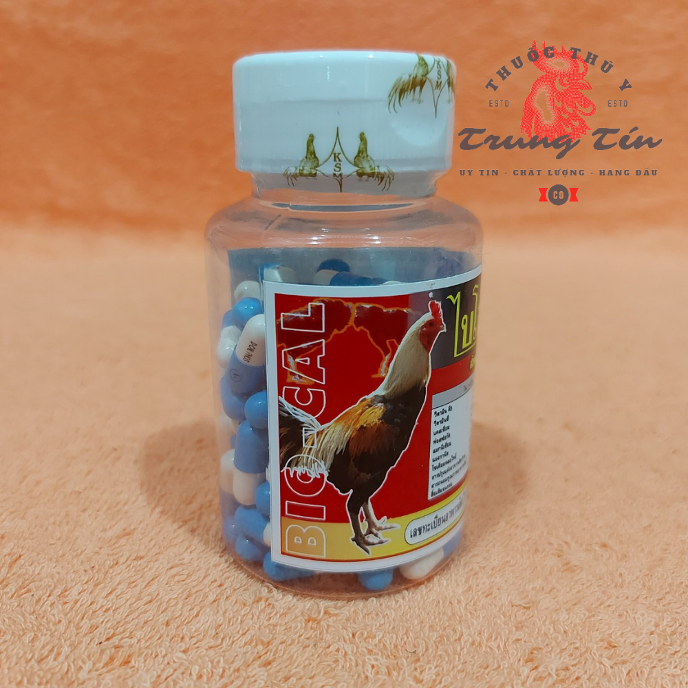 Thuốc dành cho gà đá - BIO CAL - bổ gân , cứng xương cung cấp canxi , thuốc gà đá