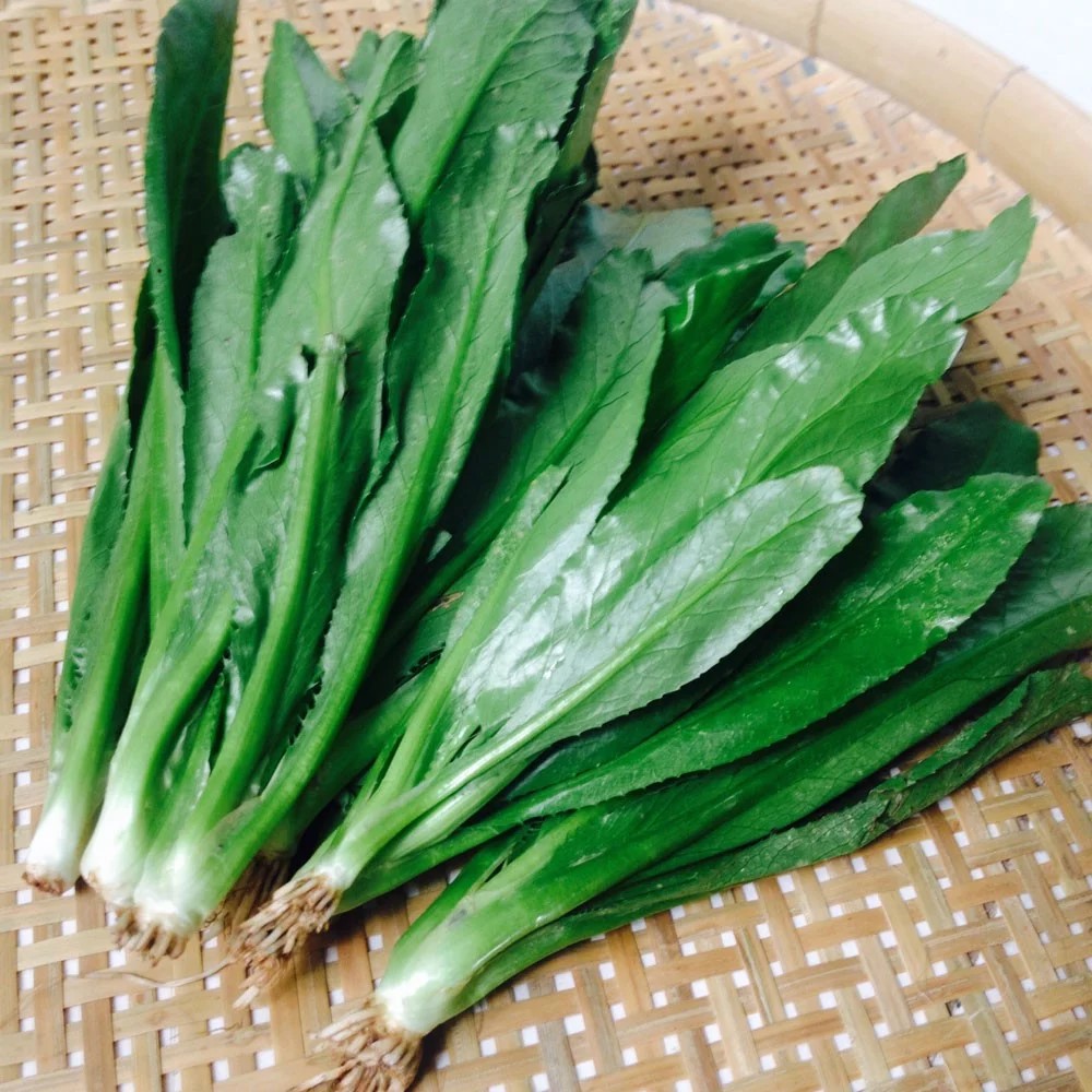 Hạt giống ngò gai (mùi tàu) 100gram