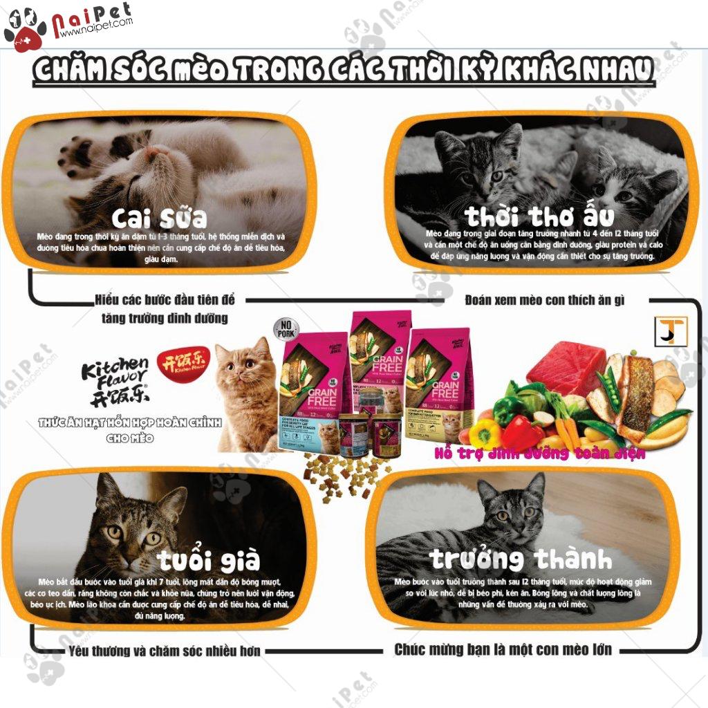 Thức Ăn Hạt Cho Mèo Mọi Lứa Tuổi Grain Free Kitchen Flavor