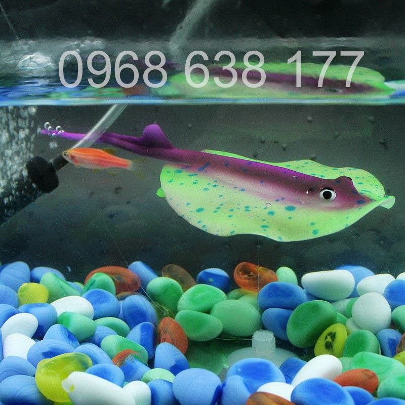 CÁ ĐUỐI DA TRƠN - PHỤ KIỆN TRANG TRÍ – PHỤ KIỆN HỒ CÁ – THỦY SINH