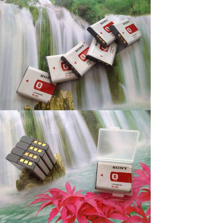 Pin máy ảnh for NP-BG1 camera battery