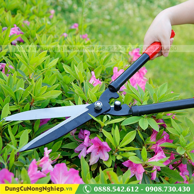Kéo cắt cỏ hàng rào 53cm