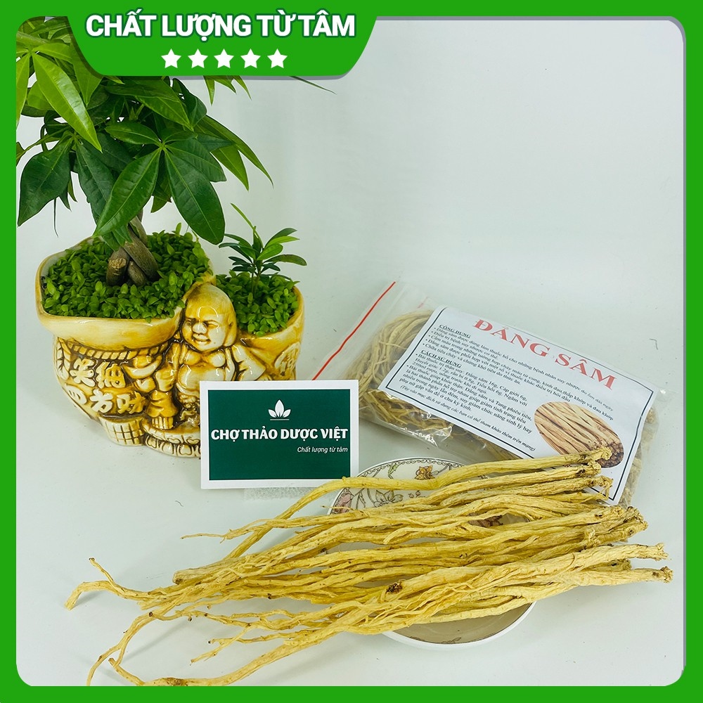 100gr Đẳng Sâm (Khô thơm sạch)