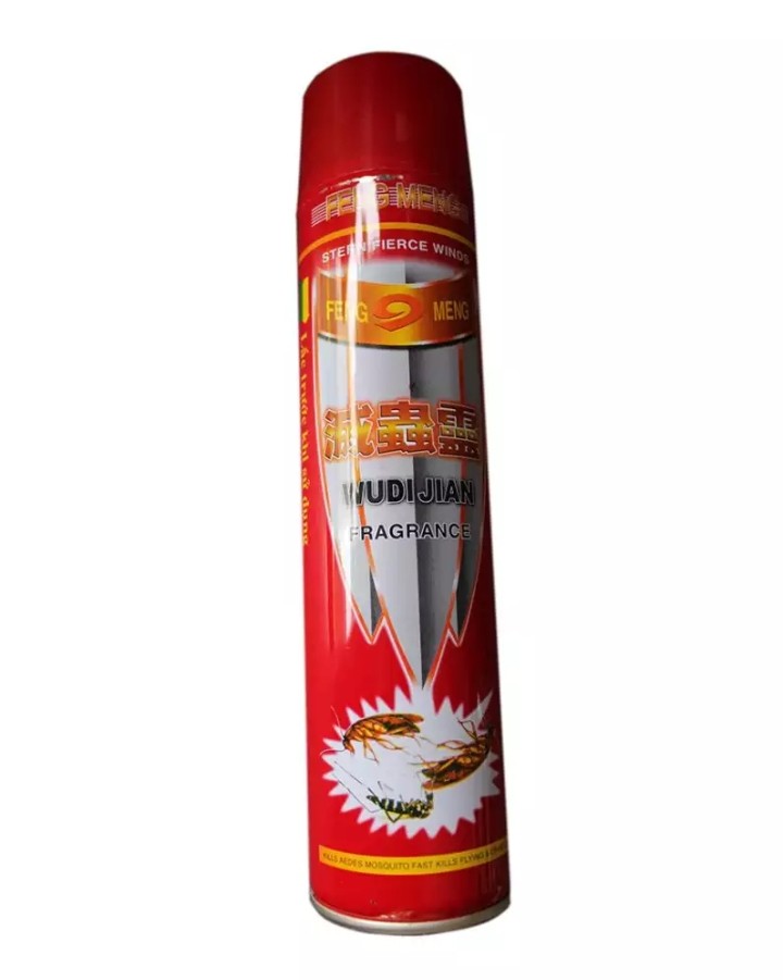 Bình xịt muỗi, kiến, côn trùng WUDIJIAN 600ml