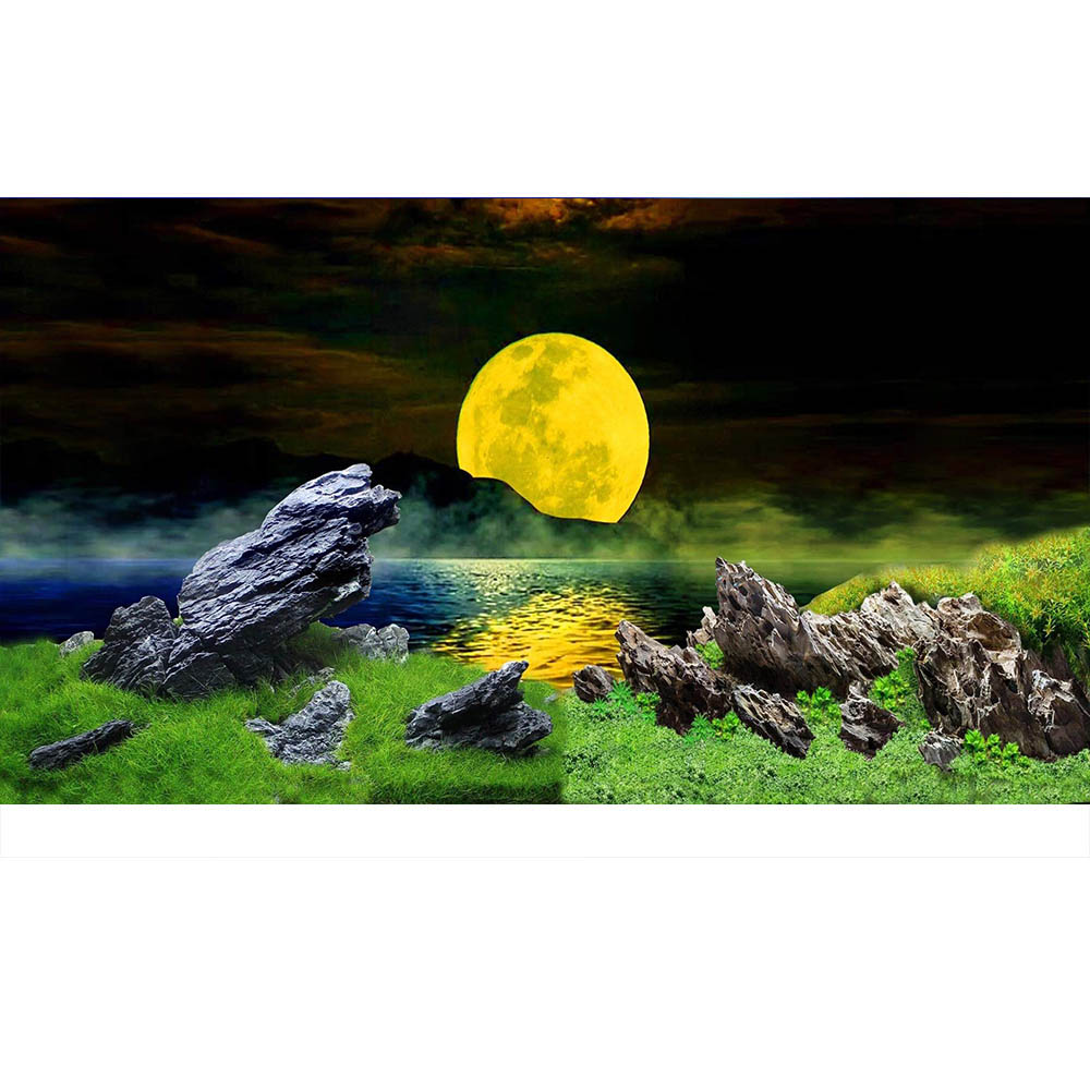 tranh 3d dán hồ cá siêu đẹp nét - Decal 3 lớp có keo sẵn trên bề mặt