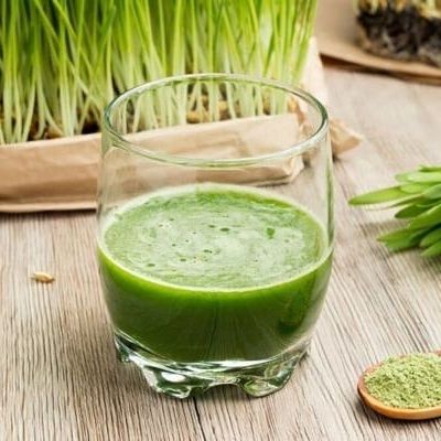 100gr Hạt mầm lúa mạch cỏ lúa mì mạch