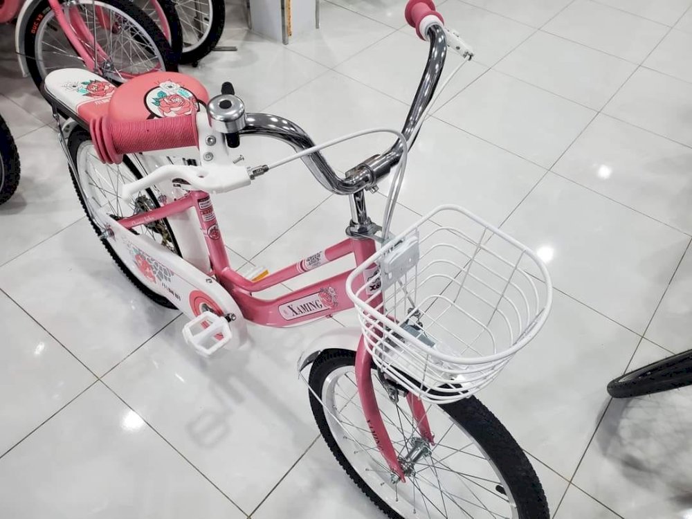 Xe Đạp Trẻ Em 20 Inch Xaming Nữ ( NEW 100 )
