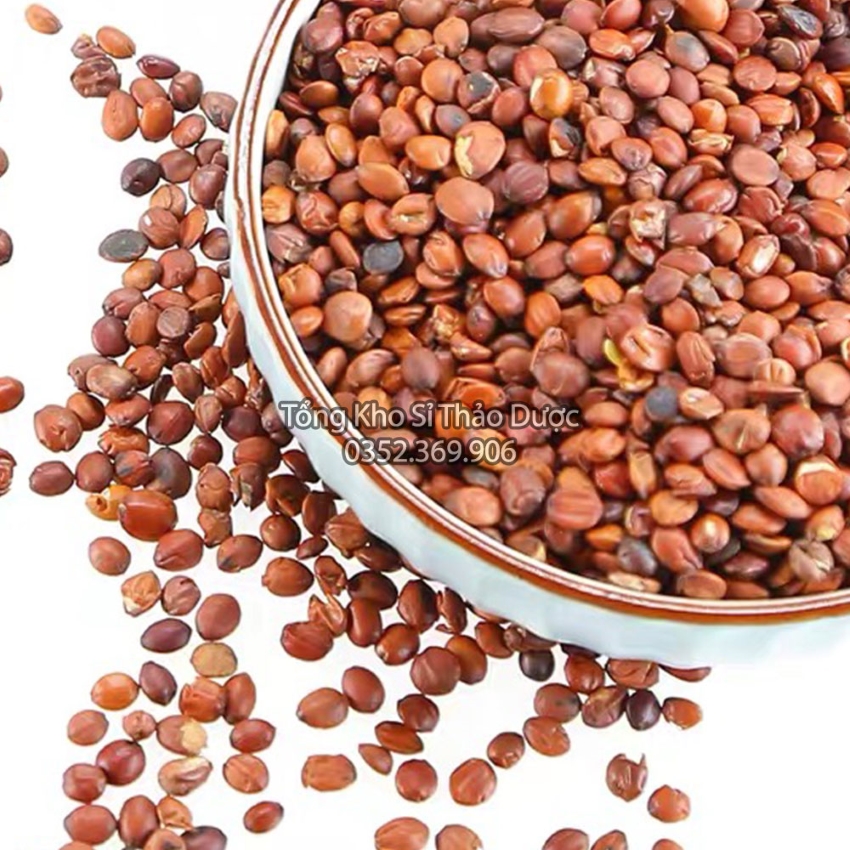 Táo Nhân 100g (Toan Táo Nhân)