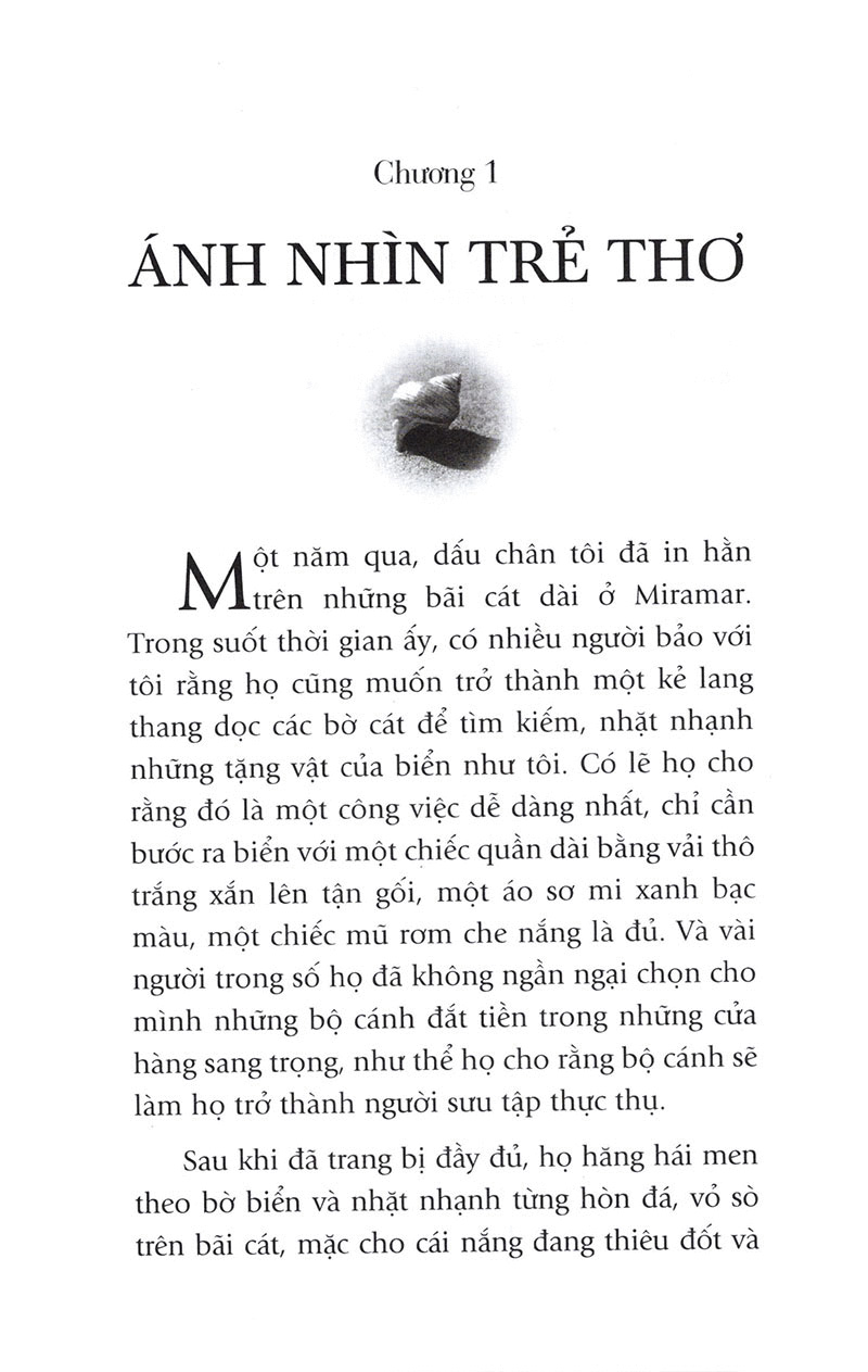 Sách - Người Đi Tìm Tặng Vật Của Biển
