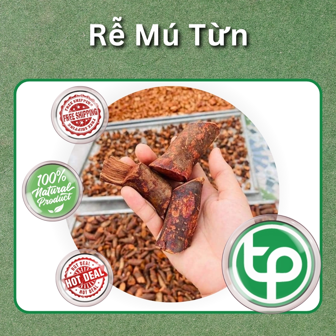 [Hàng mới về] Rễ cây mú từn sấy khô 1kg - Thảo Dược Tấn Phát