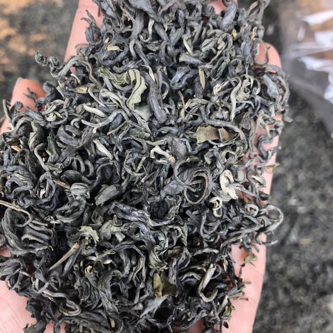 Sỉ toàn quốc 500g chè shan tuyết - cao cấp