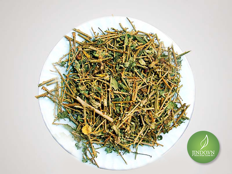 Cây cà gai leo (gói 1kg khô) - TD025
