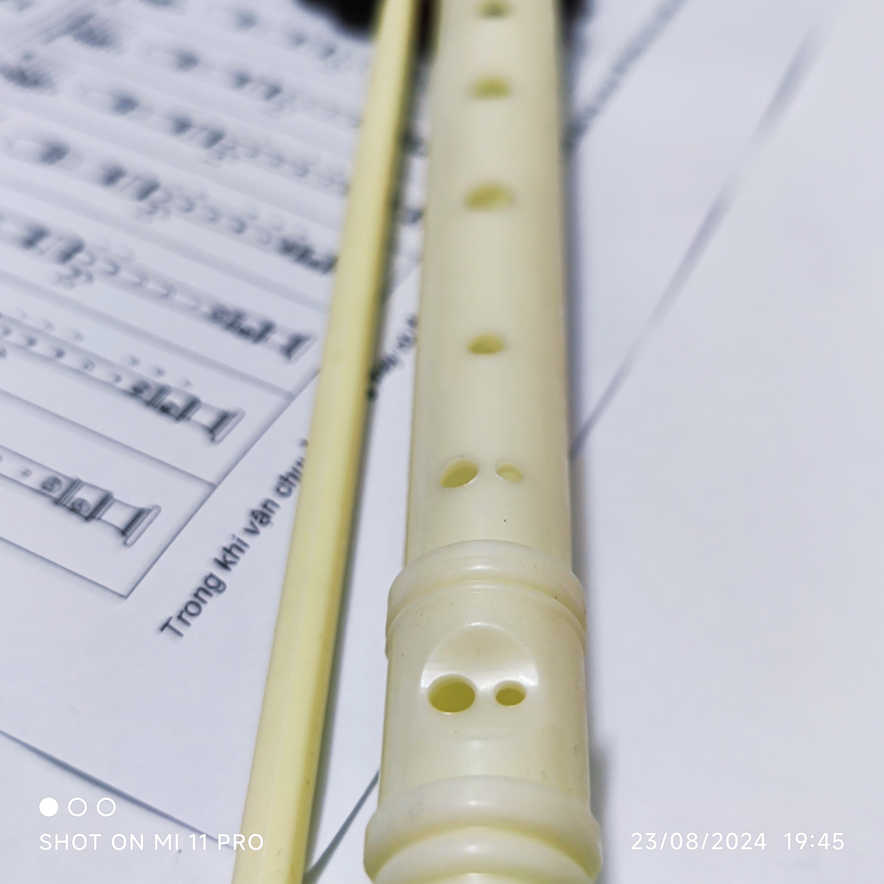 sáo recoder 8 lỗ học sinh - hay dùng. german