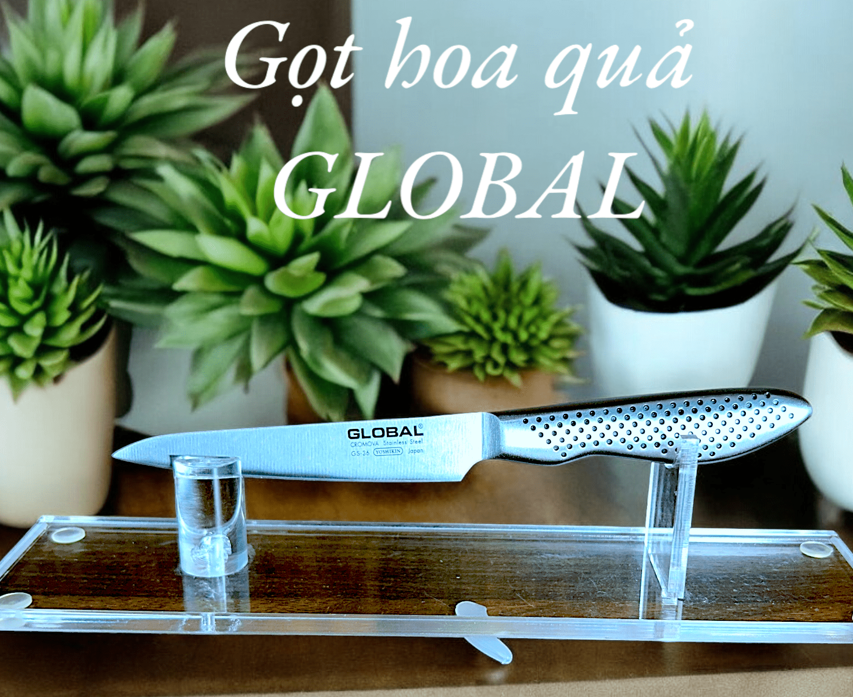 Dao gọt trái cây hoa quả cao cấp global 220 mm nhật bản