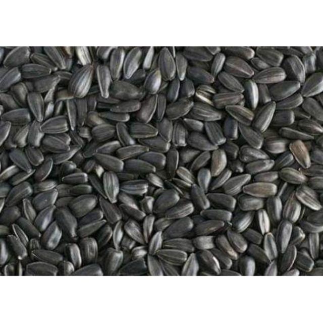 Hạt hướng dương đen 100g