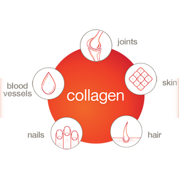 [HCM]Viên bổ sung Collagen youtheory Plus Biotin 390 Tablets