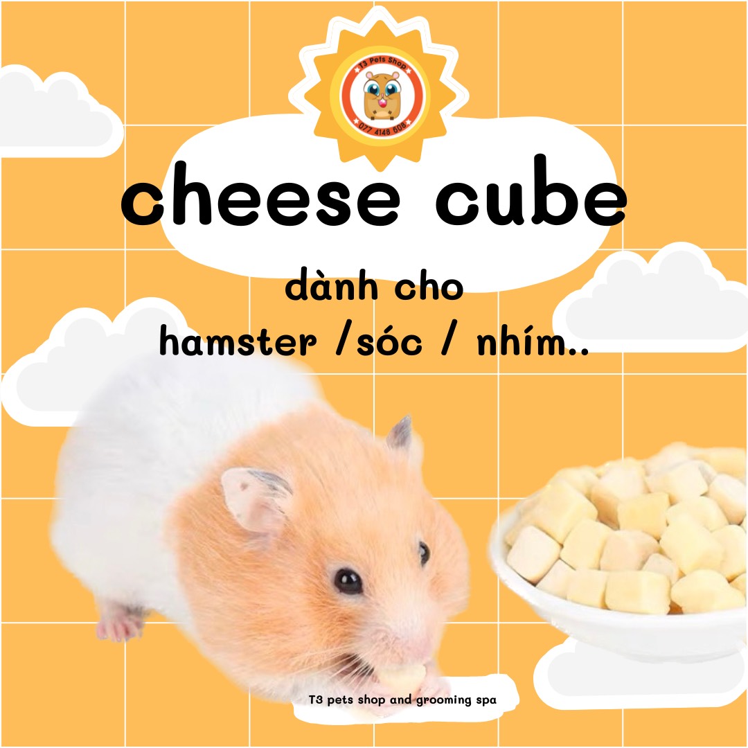 Cheese Cube dành cho thú nhỏ
