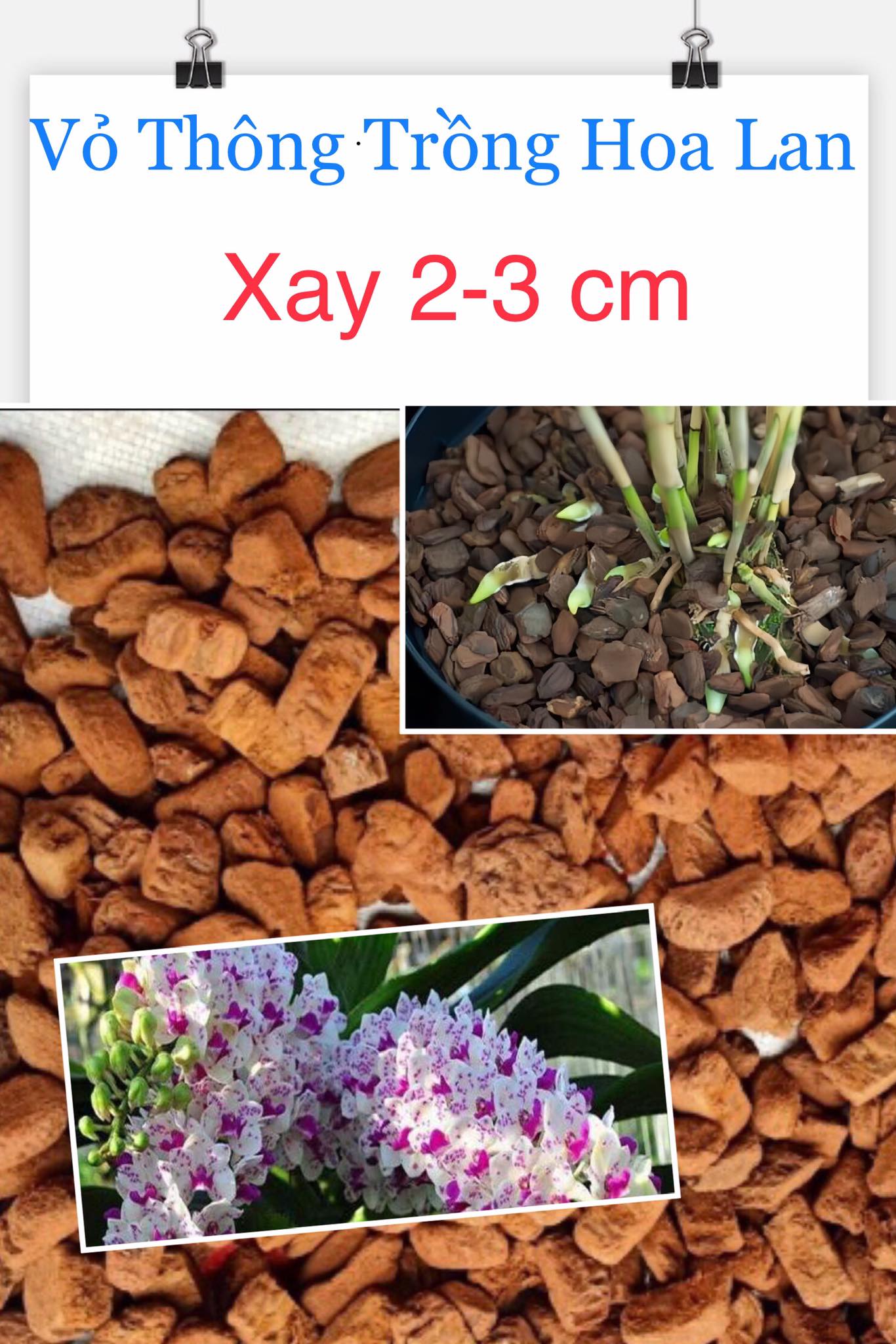 Vỏ thông chuyên dùng cho hoa lan, loại xay bo size 2-3cm