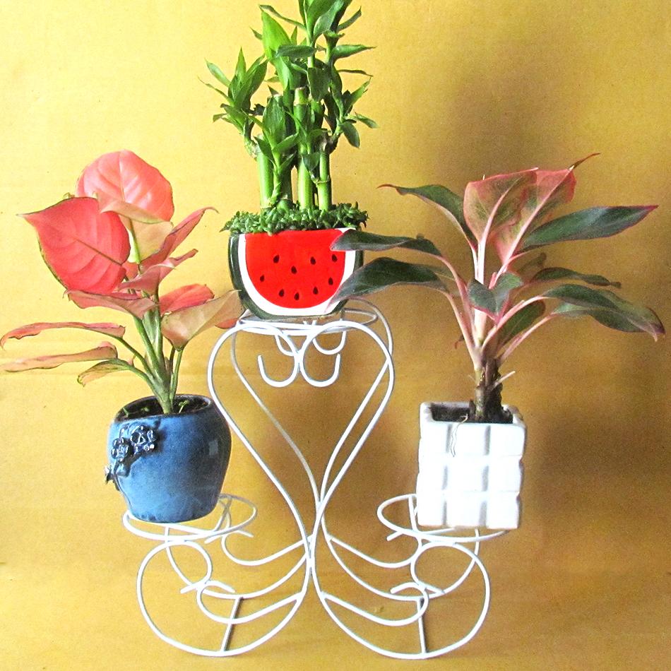 Gía đỡ chậu cây mini