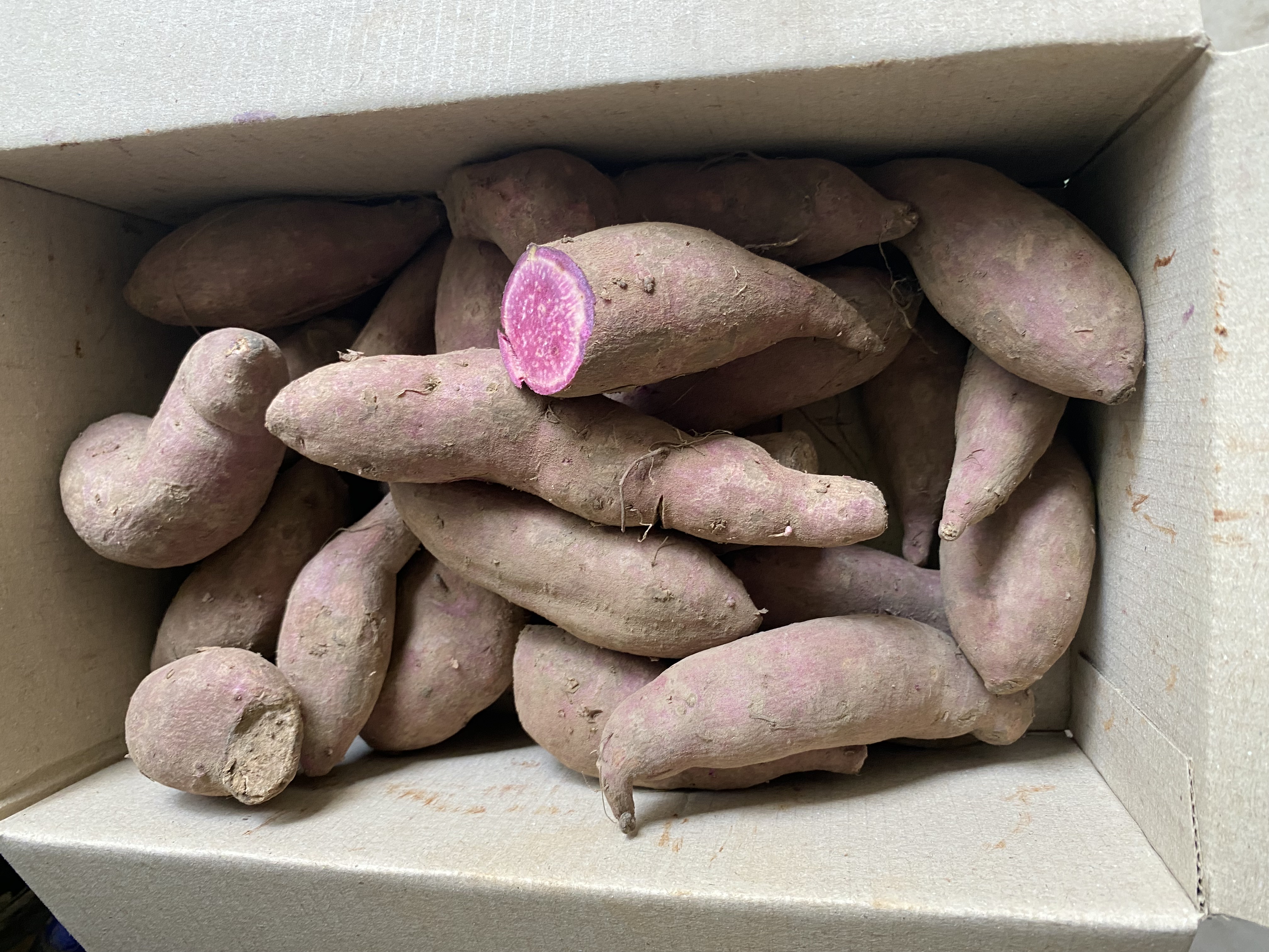 Khoai Lang Tím (1kg) Giao Toàn Quốc